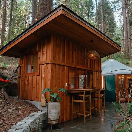 Magical Yurt In The Woods - 2 Miles From Town Ξενοδοχείο Nevada City Εξωτερικό φωτογραφία
