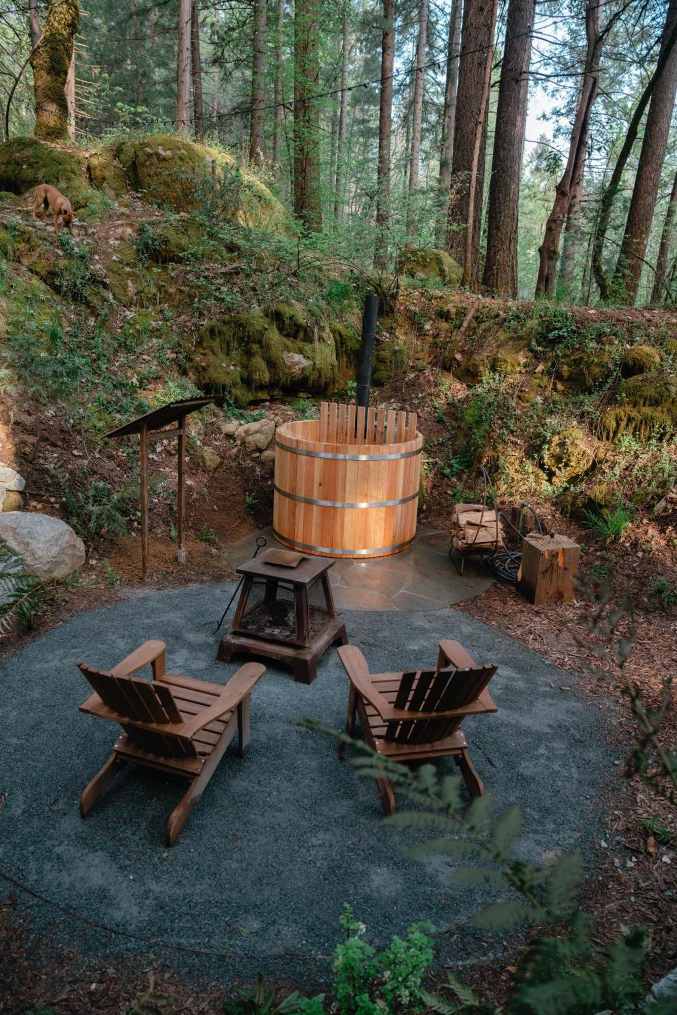 Magical Yurt In The Woods - 2 Miles From Town Ξενοδοχείο Nevada City Εξωτερικό φωτογραφία