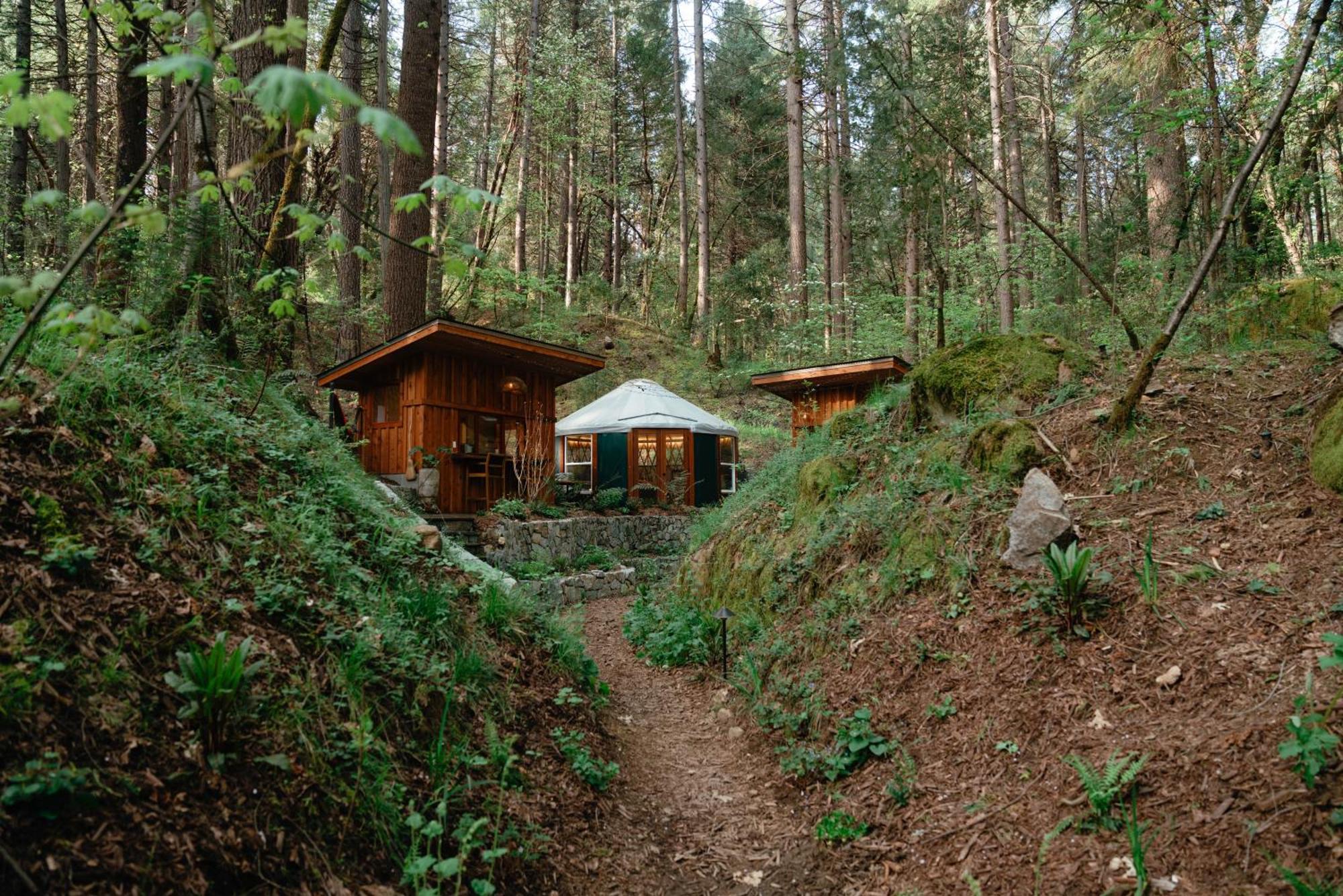 Magical Yurt In The Woods - 2 Miles From Town Ξενοδοχείο Nevada City Εξωτερικό φωτογραφία